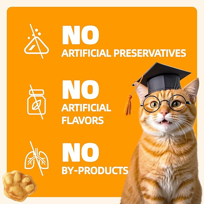 Wellix 13.5oz Healthy Cat Treats Pumpkin Flavor - Chicken Formula Stomach Sensitive Kitten Snacks for Digestive Support - Cat Constipation Relief Low Calorie Food Topper for Cats