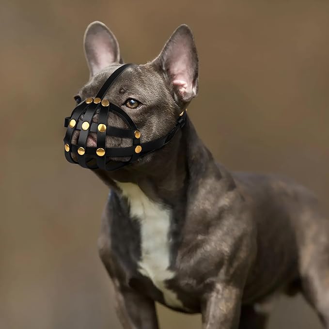 OOPSDOGGY French Bulldog Dog Muzzle for Short Snout Dog - Leather Breathable Secure Basket Muzzle for Frenchie Prevents Biting No Chewing Adjustable (Black, Size 2 - French Bulldog)