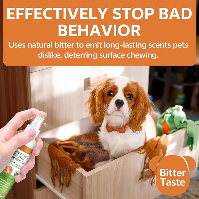 No Chew Spray for Dogs to Stop Chewing & Licking Furniture Shoes, Bitter Apple Spray for Dog, No Trace, Dog Training & Behavior Aids Indoor Outdoor Use