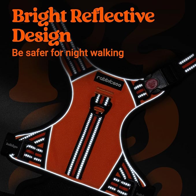 rabbitgoo Dog Harness Small Sized Dog, No Pull Pet Harness with Soft Padded Handle, Adjustable Reflective Vest with 3 Buckles, Easy Walking Harness with 2 Leash Clips, Orange, S