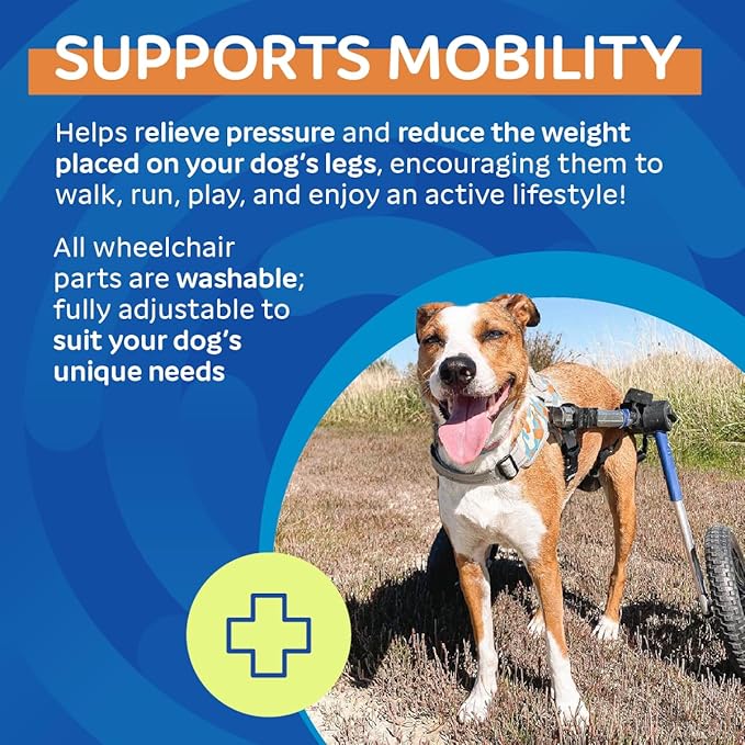 Walkin' Wheels Dog Wheelchair - for Medium Dogs 26-49 lbs - Veterinarian Approved - Dog Wheelchair for Back Legs