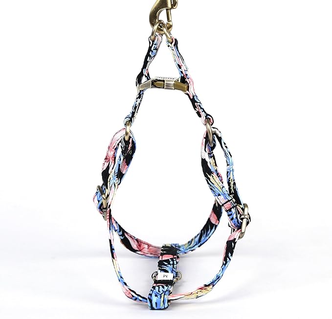 Angie and Allie Organic Cotton Personalized Step in Dog Harness,Custom Dog Halter Vests,Adjustable No Pull Canine Halter Harness for Small Medium Large Dogs