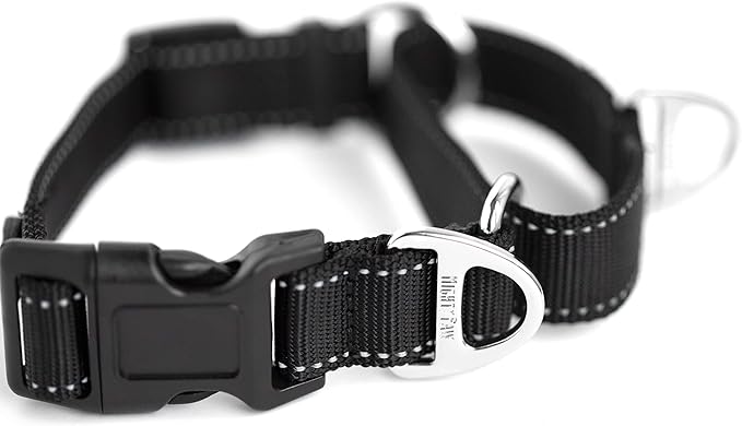 Mighty Paw Martingale Nylon Training Collar - Martingale Collar Dog - Limited Slip Design for Controlled Training - Reflective Stitching for Safety - Black Collars - Medium Size