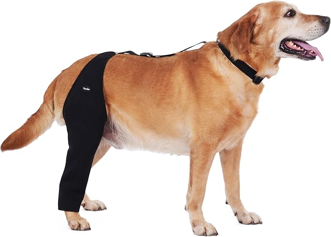 Dog Socks to Prevent Licking Paws ，Breathable Dog Leg Sleeve to