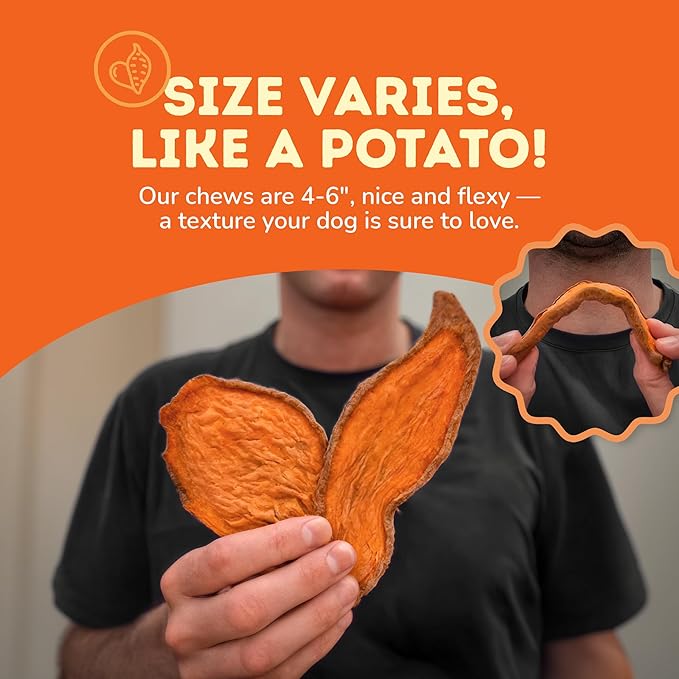 Davie's Sweet Potato Dog Treats - Healthy, Natural, Low Fat Chews Made in USA - 1 lb Bag, Pack of 2