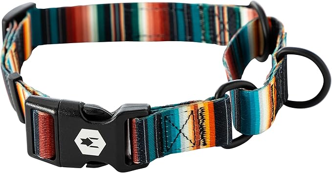 Wolfgang Heavy Duty Martingale Dog Collar with Quick Release Nylon Buckle for Walking & Training, LostArt Print, Medium