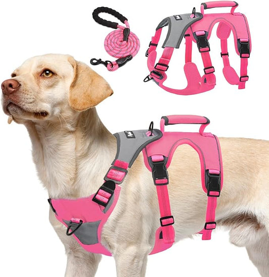 PUPTECK Escape Proof Dog Harness and Leash Set Upgraded No Pull Reflective Dog Vest with Lift Handle, Easy Control Pet Harness for Medium Large Dogs Training Walking Running, Fuchsia, L