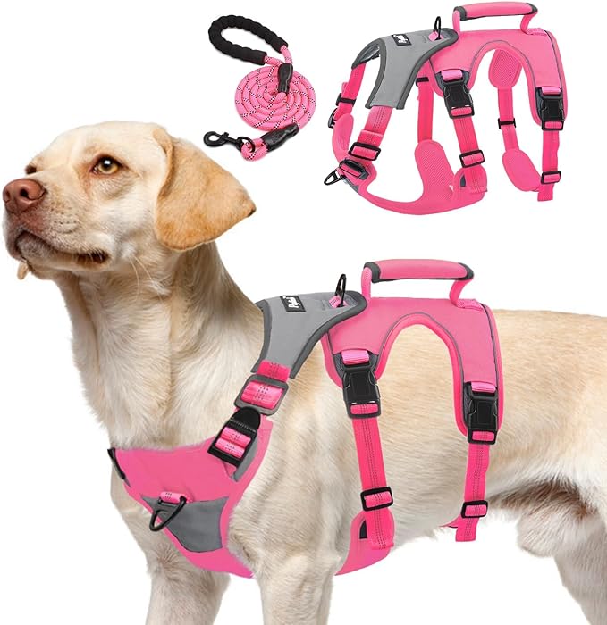 PUPTECK Escape Proof Dog Harness and Leash Set Upgraded No Pull Reflective Dog Vest with Lift Handle, Easy Control Pet Harness for Medium Large Dogs Training Walking Running, Fuchsia, XL
