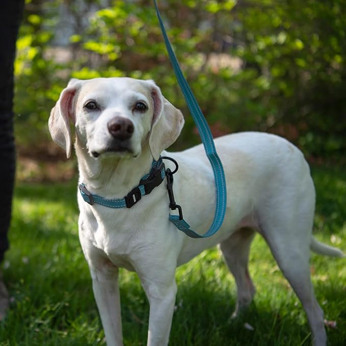 Voyager Reflective Dog Leash with Neoprene Handle, 5ft Long, Supports Small, Medium, and Large Breed Puppies, Cute and Heavy Duty for Walking, Running, and Training - Baby Blue (Leash), S