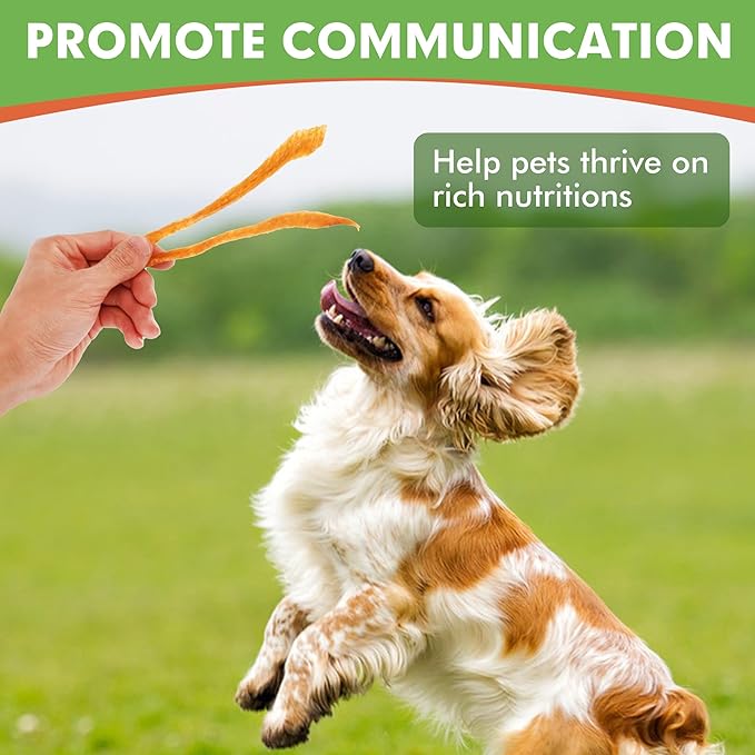 MON2SUN Dog Treats, Chicken Jerky Strips for Small Dogs, High Protein & Grain Free Snacks, Easy to Digest Training Treats (Chicken, 17.64 Ounce -Pack of 1)