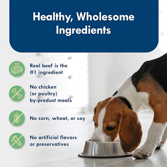 Blue Buffalo Delights Small Breed Natural Wet Dog Food, NY Strip Flavor in Gravy, 3.5-oz Cups, 12 Count