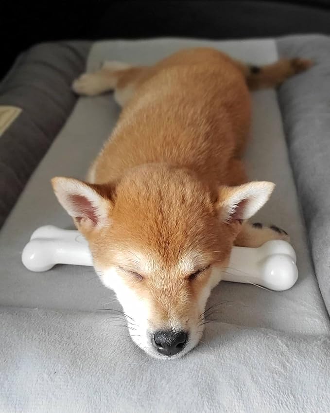 Nylabone Power Chew Classic Bone Chew Toy for Dogs, Durable Dog Toys for Aggressive Chewers, Chicken Flavor, Large/Giant - Up to 50 lbs. (1 Count)