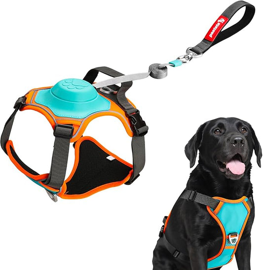 No Pull Dog Harness, 2 in 1 Retractable Harness with Auto-Lock, Reflective Breathable Mesh and Handle, Adjustable Leash Set for Small, Medium,Large Dogs,Cats (Color 1, XL)