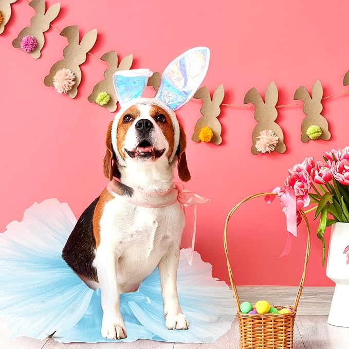 Hillban 2 Pcs Dog Crown Headband Dog Tutu Dress Set Crystal Rhinestone Tiara Crown Tutu Skirt Pet Dress Costume for Puppy Birthday Party Wedding Photo Prop Costume(Blue,X Large)