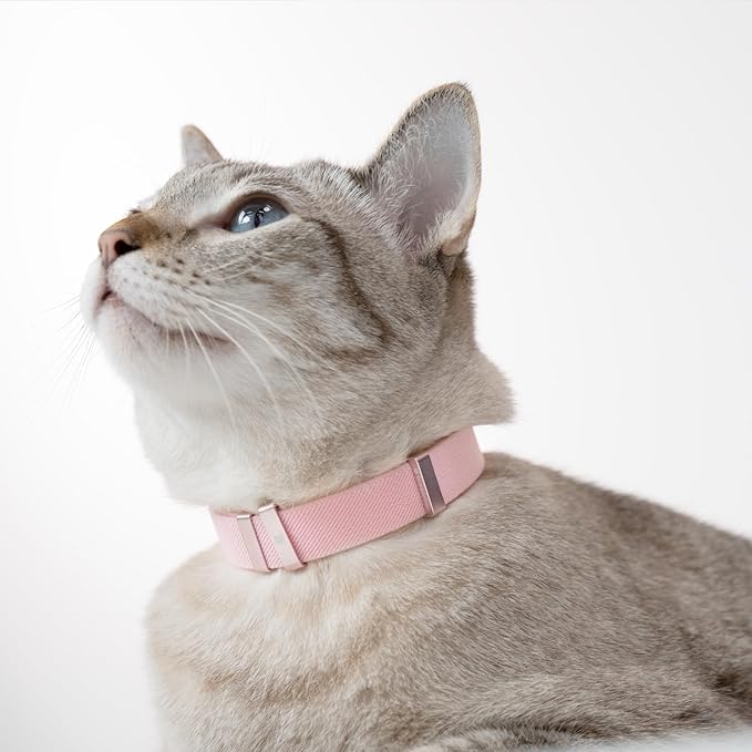 Safety Cat Collar - U.S. IDA Gold Awarding Design, Stretch Elastic Quick Release, Non Breakaway - Light Weight for Kitten, Neck Fit 5.9'-11.8' for All Small Large Cat,S(Space Grey)