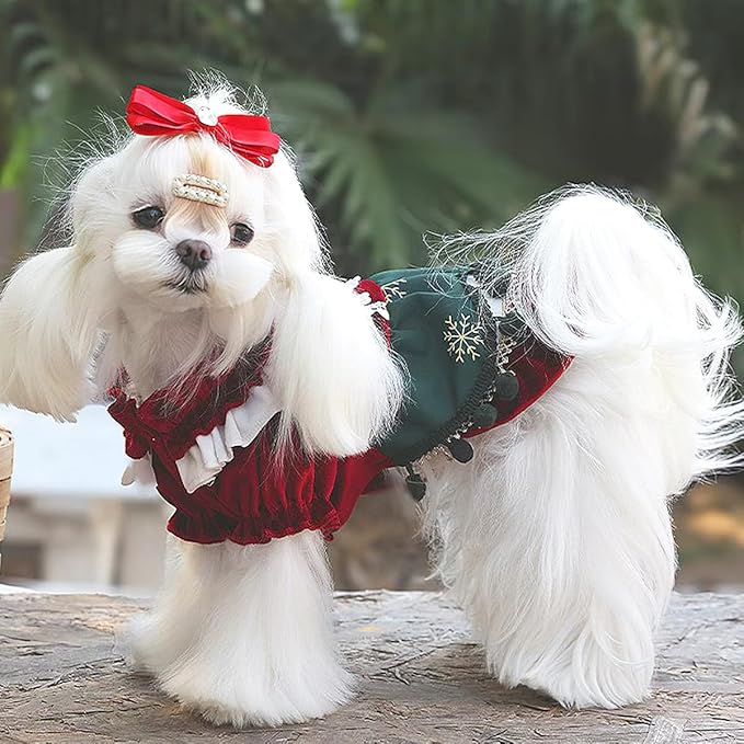 MengYu Princess Dresses for Small Dog Lolita Clothes for Cat Velvet Costume Pretty Lace Outfits Fall Costumes (Red&Green, L)