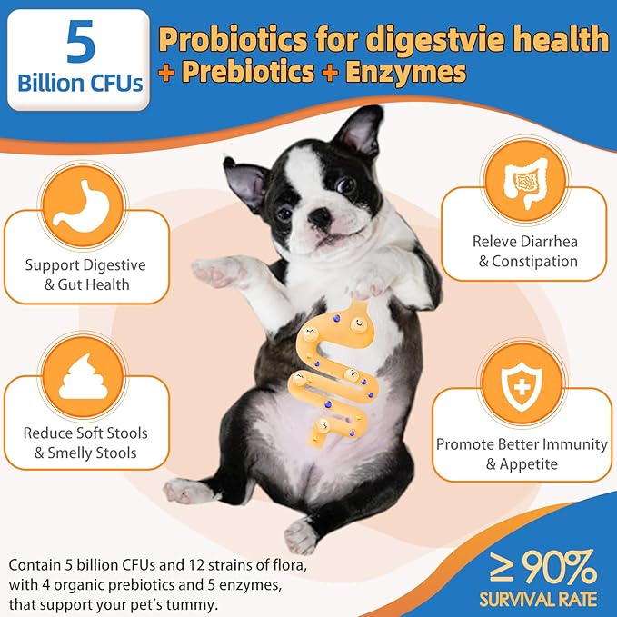ZEBORA Dog Multivitamin Powder with Glucosamine, Dog Vitamins and Supplements for Immune Support, Skin and Coat Supplement with Omega 3 for Allergy Relief, Probiotics for Digestive & Gut Health