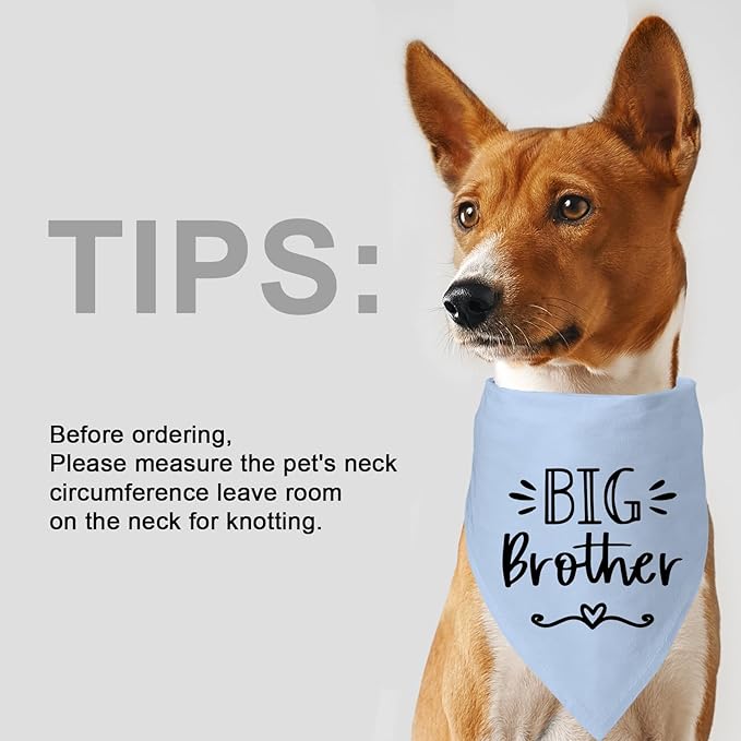 Big Sister&Baby Security in Training Dog Bandana, Dog Bandanas for Dogs Pet Accessories for Dogs Lovers Pregnancy Reveal Ideas, Soft Triangle Scarf for Small Medium Large Dogs (Big Brother Blue)