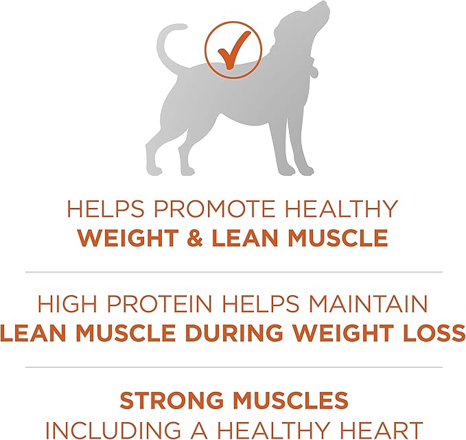 Purina ONE Plus Healthy Weight High-Protein Dog Food Dry Formula - 8 lb. Bag