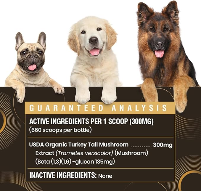 Organic Turkey Tail Mushroom for Dogs & Cats - Hot Water Extracted 45% Beta-Glucan USDA Mushroom Powder for Immune Support, Gut Health, Holistic Defense - No Fillers, Made in The USA - 660 Scoops