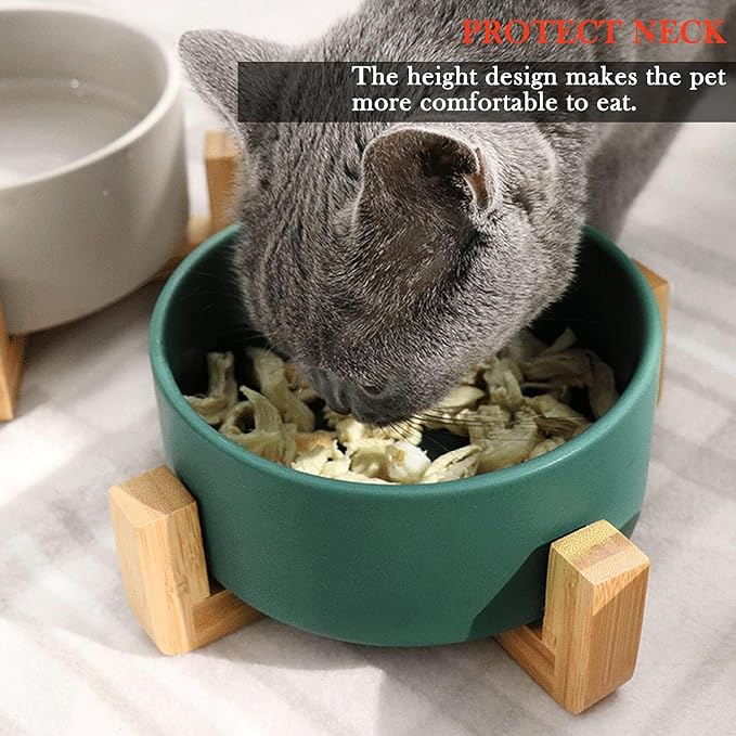 Petygooing Dog Bowls,Green Ceramic Cat Dog Bowl Set with Stand for Food and Water Feeder,Non-Slip Cute Modern Pet Dishes for Cats Small and Medium Size Dogs (28OZ/6.1 in)