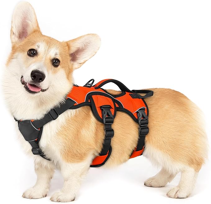 rabbitgoo Escape Proof Dog Harness, Soft Padded Full Body Pet Harness, Reflective Adjustable No Pull Vest with Lift Handle and Lesh Clip for Large Dogs Walking Hiking Training, S, Orange