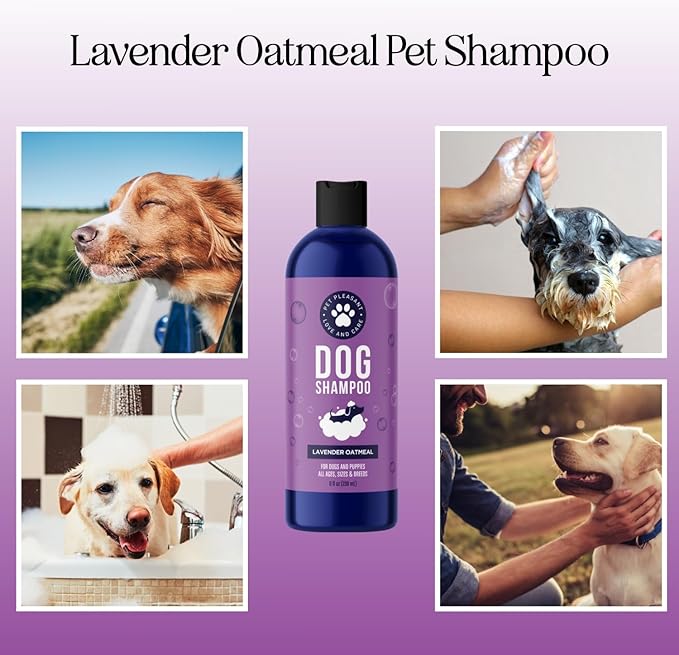Soothing Oatmeal Shampoo for Dogs - Cleansing and Moisturizing Aloe & Oatmeal Dog Shampoo for Smelly Dogs of all Ages & Breeds - Gentle Sulfate and Paraben Free Dog Wash Made in USA (Lavender Vanilla)