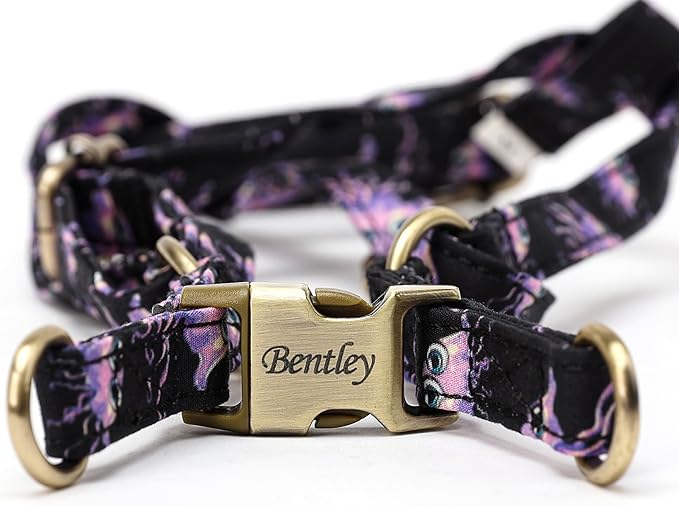 Angie and Allie Organic Cotton Personalized Step in Dog Harness,Custom Dog Halter Vests,Adjustable No Pull Canine Halter Harness for Small Medium Large Dogs