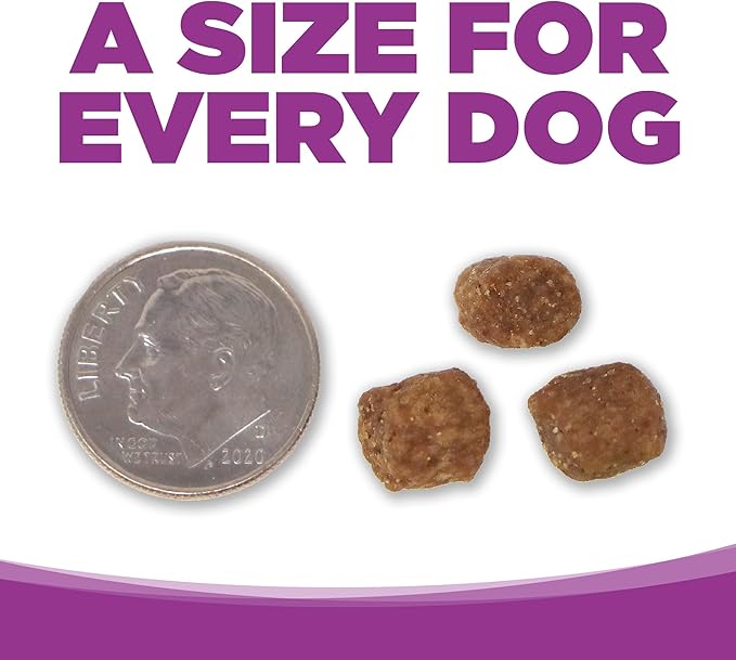 NutriSource Puppy Food for Large Breeds, Chicken and Rice, 4LB