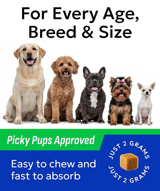 BARK&SPARK Dog Probiotics for Digestive Health w/Enzymes & Fiber - Diarrhea Gas Treatment Upset Stomach Relief - Allergy & Itchy Skin - Pet Probiotics for Dogs - (120Ct, Bacon)