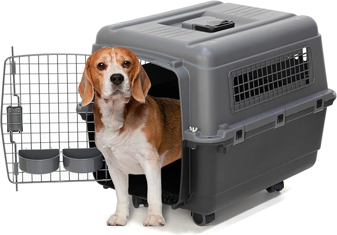 SportPet Designs Plastic Airline Approved Kennels Wire Door Travel Dog Crate, Medium