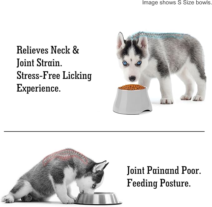 Dog Bowls,Cone Friendly Non Slip Single Dog Bowl with Stainless Steel Inner, Raised Bowls for Small and Medium Dogs Spaniel Dogs Long Ear, High Capacity, L/3 Cups Gray
