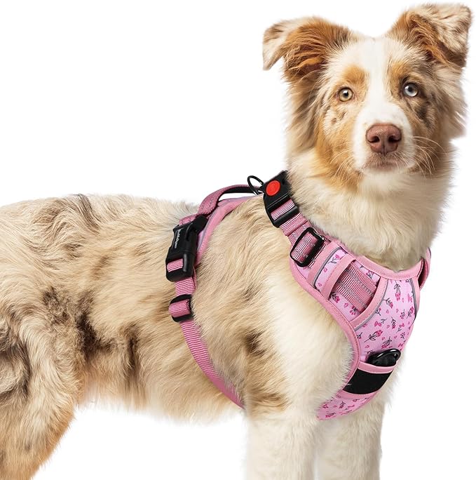 rabbitgoo Dog Harness Medium Sized, No Pull Pet Harness with 3 Buckles, Adjustable Soft Padded Vest with Control Handle, Walking Reflective Pet Vest for Medium Dogs, Floral Pink, M