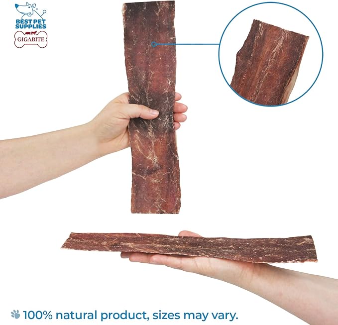 GigaBite Single Ingredient All Natural Free Range Bully Treats and Chews - Bully Sticks/Bladder Sticks/Beef Esophagus by Best Pet Supplies - Esophagus Strips (12 Inch), Pack of 10
