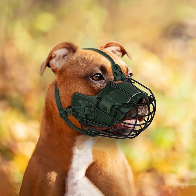 OOPSDOGGY Metal Pitbull Dog Muzzle Reflective Leather Mask Secure Wire Basket Muzzle for Large Sized Dogs Amstaff Soft Cage Muzzle to Prevent Biting Chewing with Adjustable Straps (Green, Pitbull)