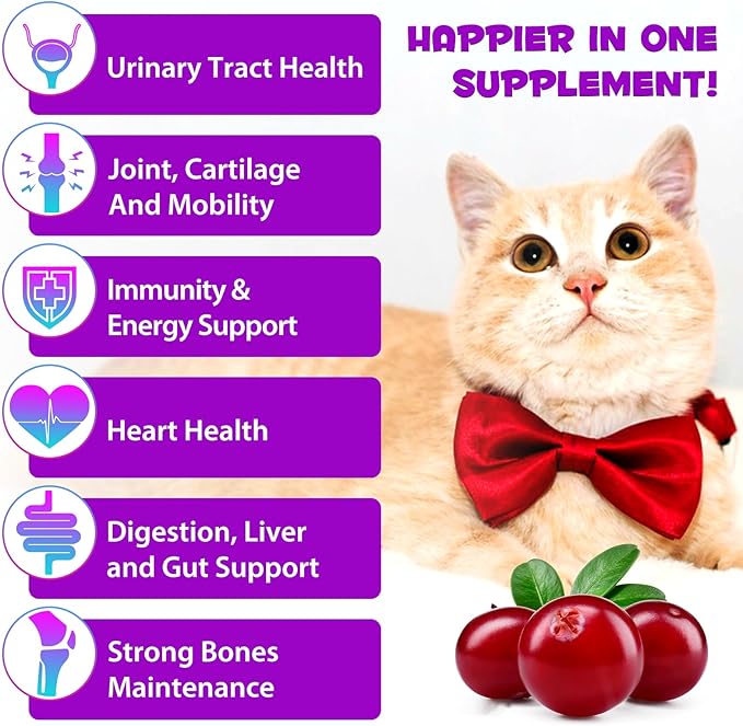 Cat Multivitamin,15 in 1 Cat Vitamins Liquid Drops Supplements for Heart Health, Bones, Joint, Skin & Coat, Bladder, Immune System Support 60ml