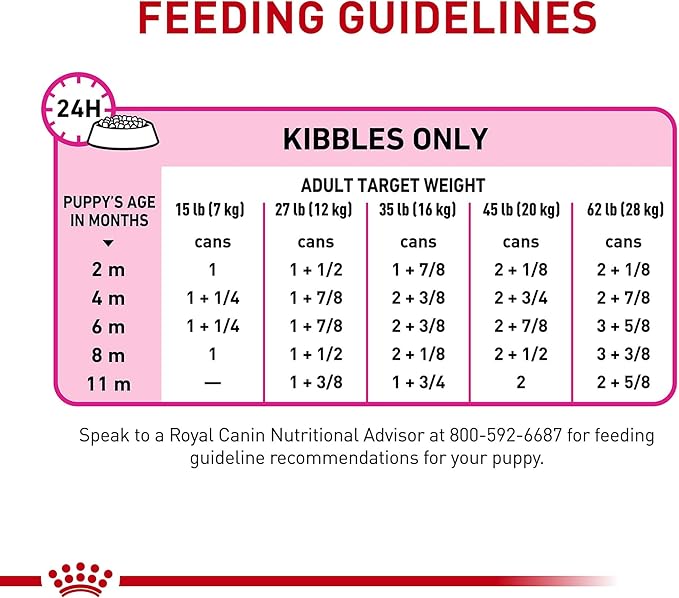 Royal Canin Canine Health Nutrition Puppy Loaf in Sauce Dog Food, 5.2 oz (Pack of 24)