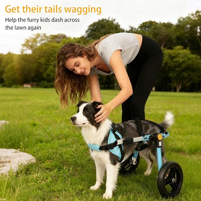 TailWaggers Small Dog Wheelchair for Back Legs | Adjustable Mobility Aid | All-Terrain Wheels