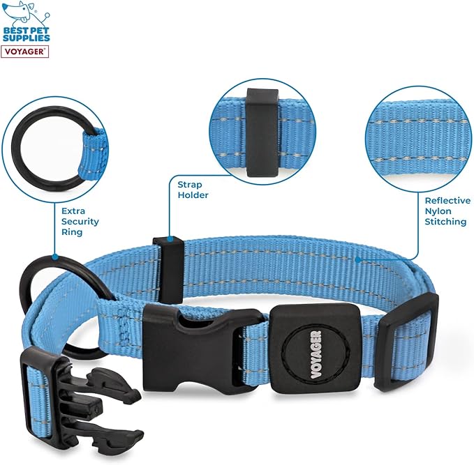 Best Pet Supplies Reflective Dog Collar with Adjustable Length, Heavy-Duty Buckle, and Strong Leash D-Ring, Training, Walking, Jogging Accessory for Small, Medium, and Large Breeds - Baby Blue, S