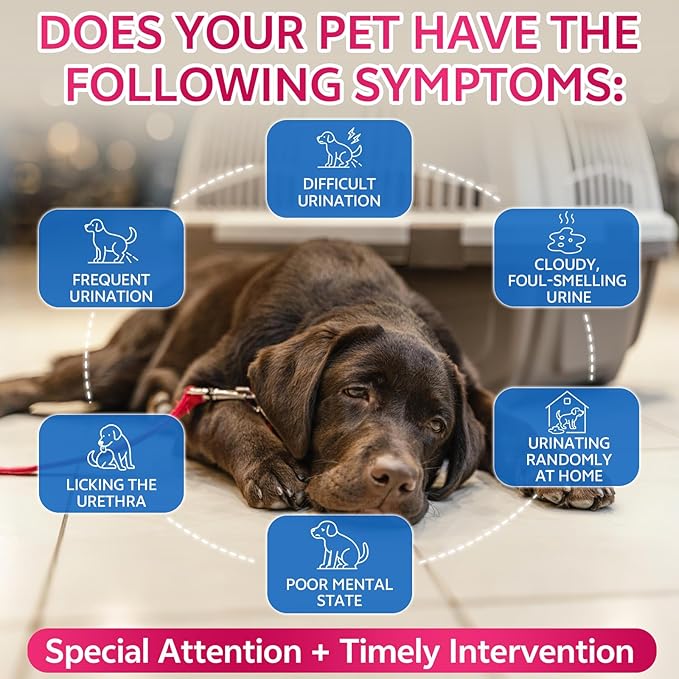 2 Pack – Cat & Dog Natural Urinary Tract Infection Treatment with Cranberry, Kidney, and Bladder Support Supplement, Support for Urinary Comfort & Bladder Flow – Pet Renal Care Support Drops