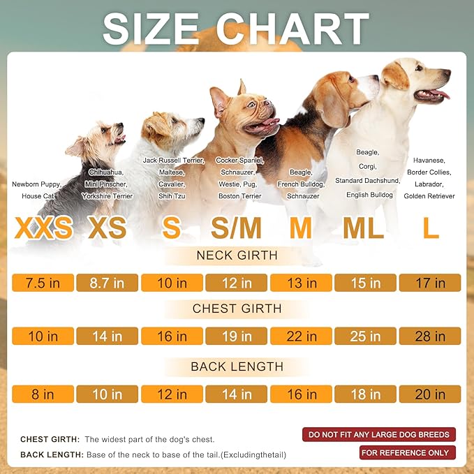 BEAUTYZOO Small Dog Hoodie Sweater with Pockets, Dog Clothes for Small Medium Dogs Boy Girl, Waffle-Like Laminated Cotton Pet Coats with Hat and Leash Hole, Mint Green XS