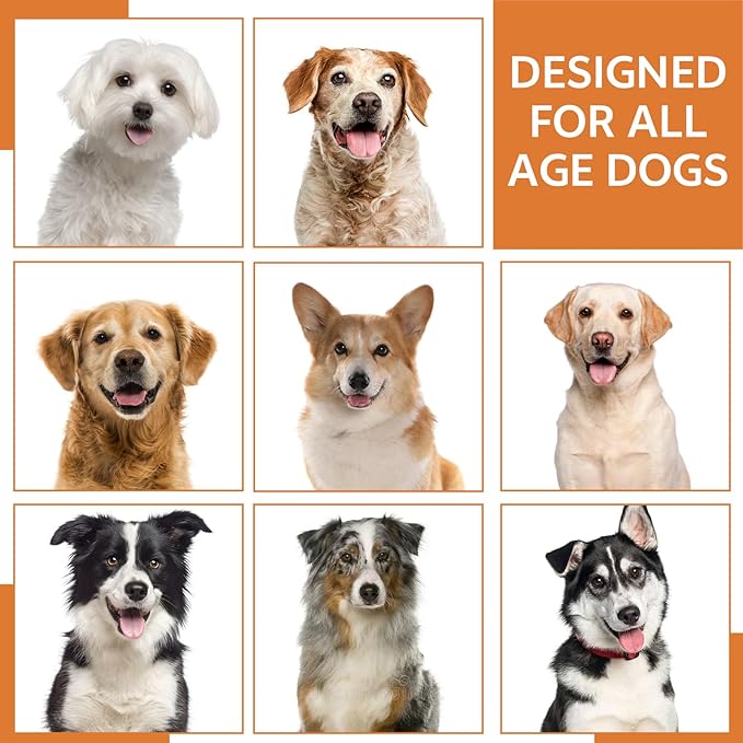 No Chew Spray for Dogs to Stop Chewing & Licking Furniture Shoes, Bitter Apple Spray for Dog, No Trace, Dog Training & Behavior Aids Indoor Outdoor Use