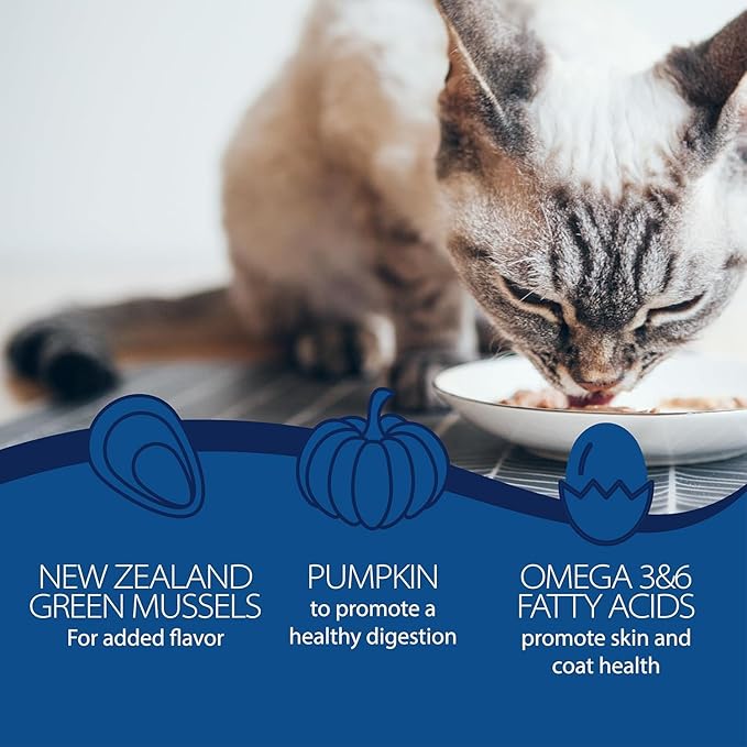 Blackwood Wet Cat Food, Chicken & Salmon with Pumpkin Recipe for All Life Stages, 3 Ounce Can (Pack of 12), Slow Cooked, Grain Free