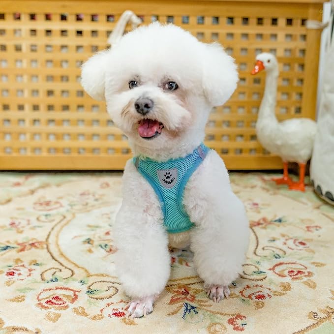 PUPTECK Adjustable Dog Harness Collar and Leash Set Step in No Pull Pet Harness for Small Medium Dogs Puppy and Cats Outdoor Walking Running, Soft Mesh Padded Reflective Vest Harnesses, Turquoise S