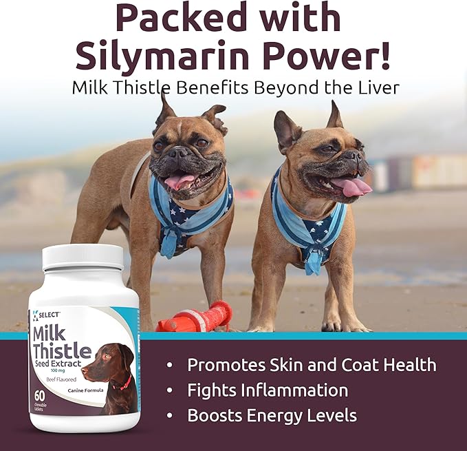 K9 Select Milk Thistle for Dogs, 100mg - 60 Beef Flavored Tablets - Canine Liver Health Natural Milk Thistle Supplement