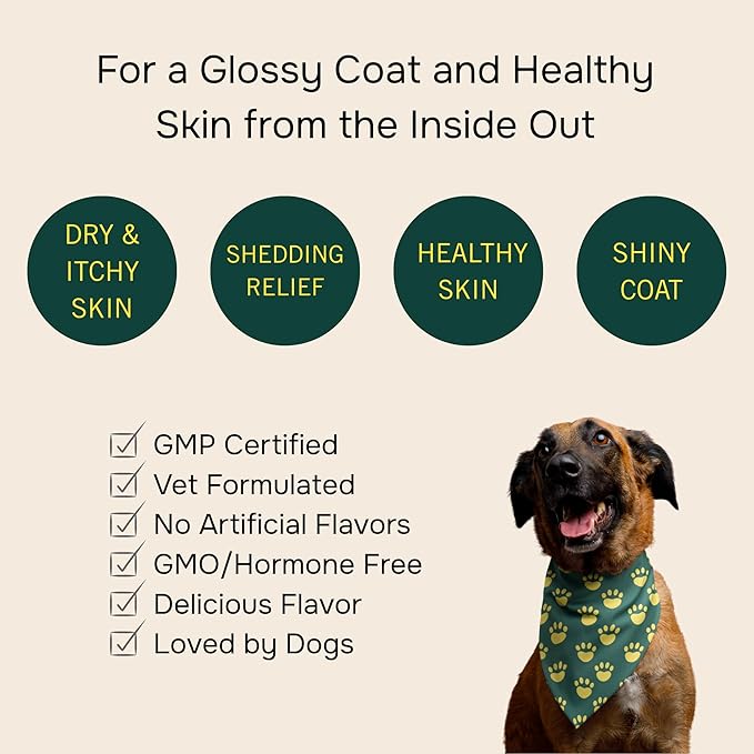 PetMeds Skin & Coat Supplement for Dogs - Fish Oil, Omega 3, Vitamin E, & Biotin for Dry, Itchy Skin & Shedding Relief - Healthy Skin & Shiny Coat - Beef & Sweet Potato Flavor - 60 Soft Chews