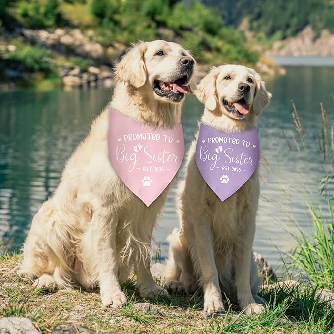 2 Pack Promoted to Big Sister Dog Bandana 2026 Pregnancy Announcement Gender Reveal Dog Outfit Baby Announcement Photo Prop Pet Scarf Accessories for Small Medium Large Dog