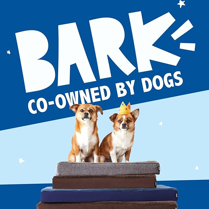 Barkbox Orthopedic Dog Bed with Memory Foam, Premium Comfort for Dogs and Puppies, Dog Bed for Joint Relief and Restful Sleep, Durable and Easy to Clean - Grey, Small