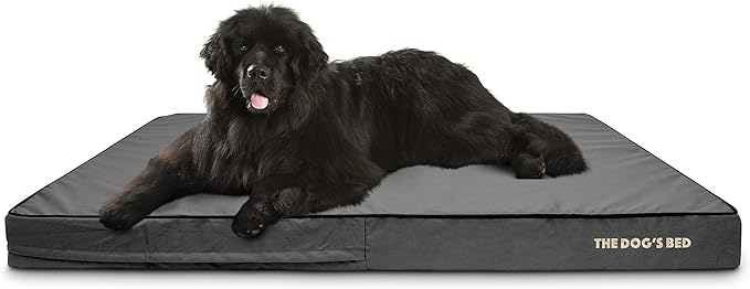 The Dog’s Bed Orthopedic Memory Foam Dog Bed, XXXL Grey & Black, Waterproof, Supportive Dog Bed with Replaceable Covers