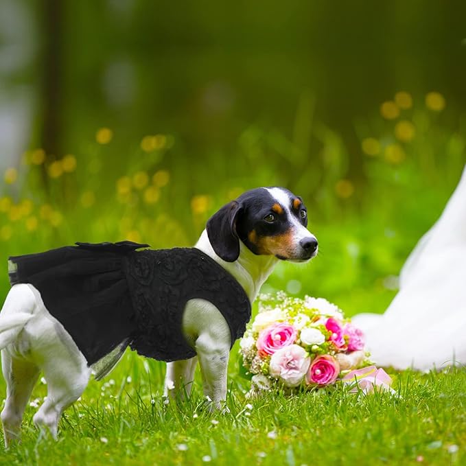 QBLEEV Dog Wedding Dress - Medium to XXL, Black Lace Tutu Skirt, Bowknot Attire, Perfect for Puppy or Dog Bride, Halloween or Formal Occasions